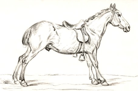 Saddled horse (1823) by Jean Bernard (1775-1883).. Free illustration for personal and commercial use.