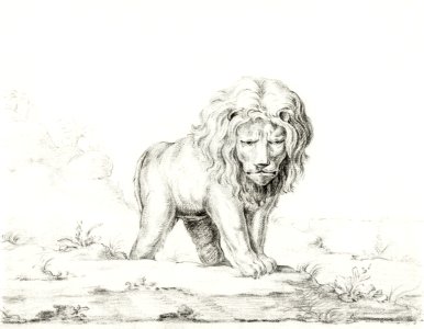 Lion by Jean Bernard (1775-1883).. Free illustration for personal and commercial use.