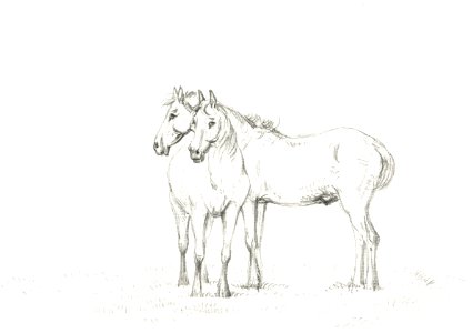 Two horses standing together (1816) by Jean Bernard (1775-1883).. Free illustration for personal and commercial use.