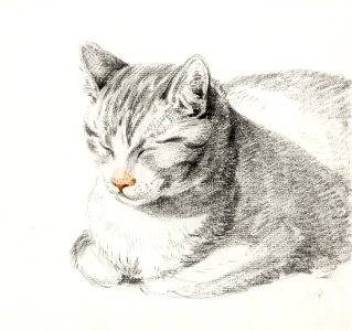 Sketch of a cat (1808) by Jean Bernard (1775-1883).. Free illustration for personal and commercial use.