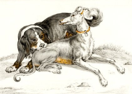A dog bites another sitting dog by Jean Bernard (1775-1883).. Free illustration for personal and commercial use.