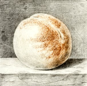 Peach by Jean Bernard (1775-1883).. Free illustration for personal and commercial use.