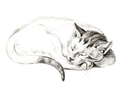 Sketch of a sleeping cat (1812) by Jean Bernard (1775-1883).. Free illustration for personal and commercial use.