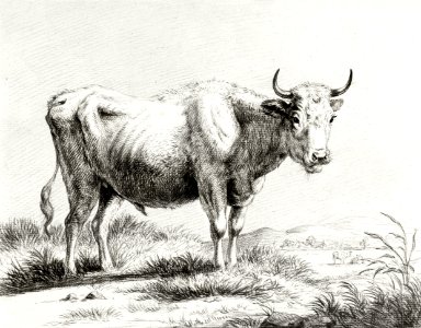 Standing cow by Jean Bernard (1775-1883).. Free illustration for personal and commercial use.