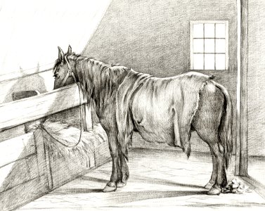 Standing horse in a stable (1812) by Jean Bernard (1775-1883).. Free illustration for personal and commercial use.