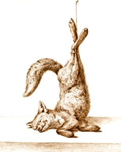 Dead fox, hanging from his paws (1815) by Jean Bernard (1775-1883).. Free illustration for personal and commercial use.