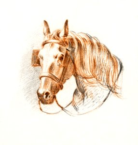 Head of a horse with blinkers by Jean Bernard (1775-1883).. Free illustration for personal and commercial use.