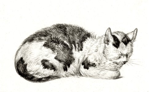 Lying cat (1828) by Jean Bernard (1775-1883).. Free illustration for personal and commercial use.