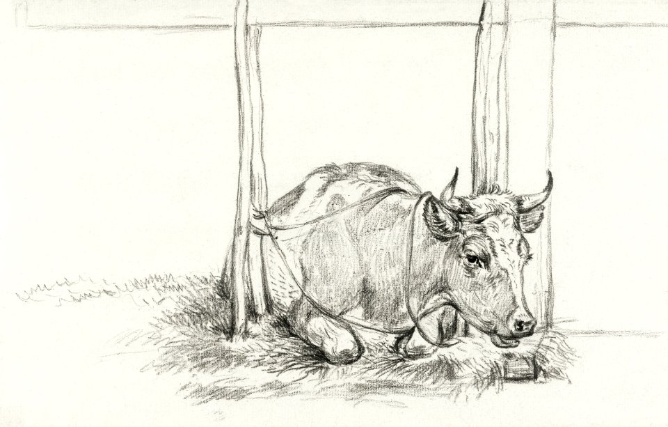 Lying cow (1826) by Jean Bernard (1775-1883).