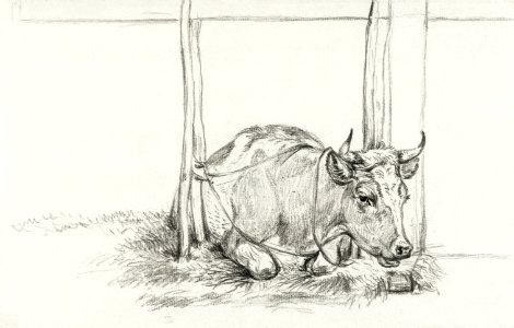 Lying cow (1826) by Jean Bernard (1775-1883).. Free illustration for personal and commercial use.