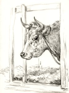 Head of a cow (1820) by Jean Bernard (1775-1883).. Free illustration for personal and commercial use.