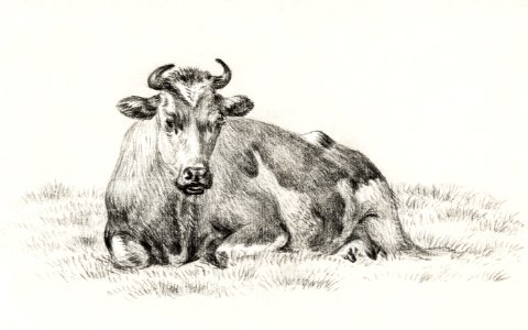 Lying cow (1825) by Jean Bernard (1775-1883).
