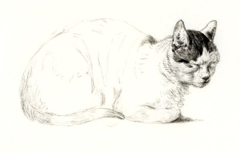 Sketch of a cat (1815) by Jean Bernard (1775-1883).. Free illustration for personal and commercial use.