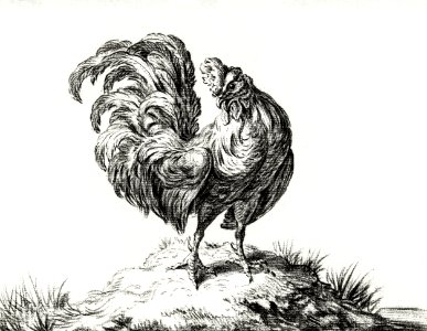 Chicken, standing on a hill by Jean Bernard (1775-1883).. Free illustration for personal and commercial use.