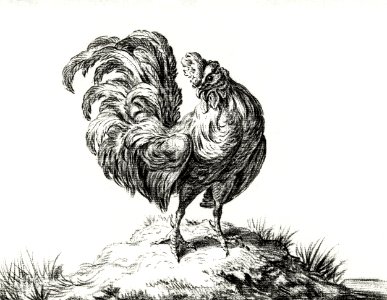 Chicken, standing on a hill by Jean Bernard (1775-1883).