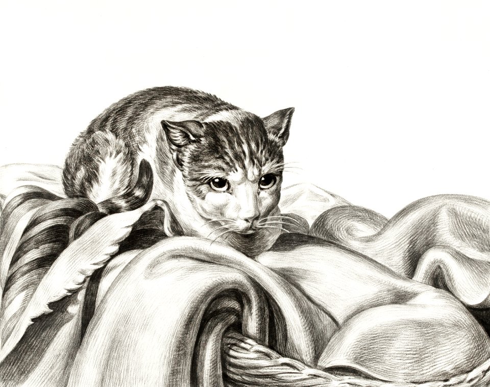 Cat sitting in a basket (1802) by Jean Bernard (1775-1883).