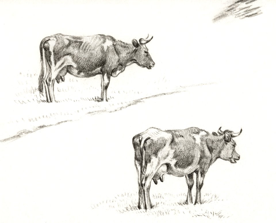Two sketches of a standing cow (1821) by Jean Bernard (1775-1883).