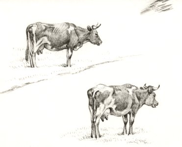 Two sketches of a standing cow (1821) by Jean Bernard (1775-1883).. Free illustration for personal and commercial use.