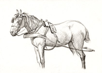 Standing harnessed horse (1815) by Jean Bernard (1775-1883).. Free illustration for personal and commercial use.