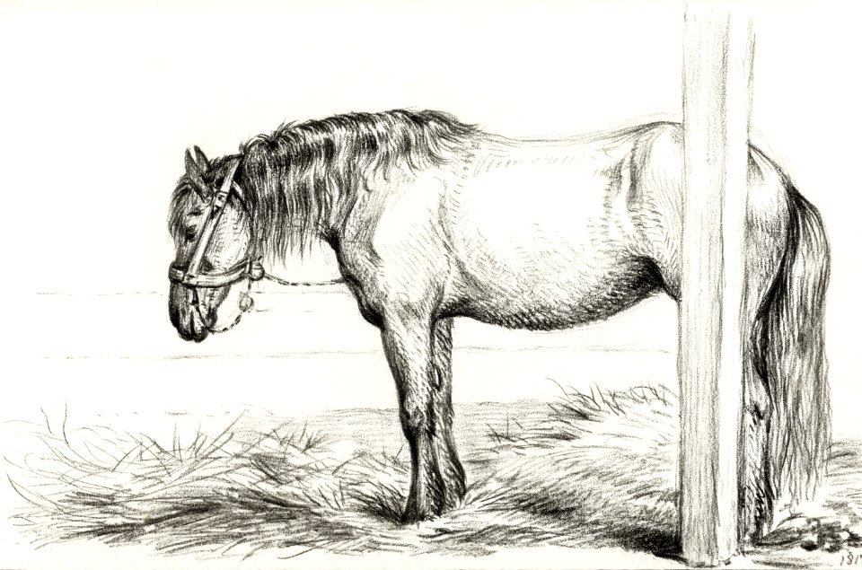 Standing horse (1817) by Jean Bernard (1775-1883).