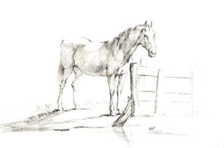 Standing horse at a fence by Jean Bernard (1775-1883).. Free illustration for personal and commercial use.
