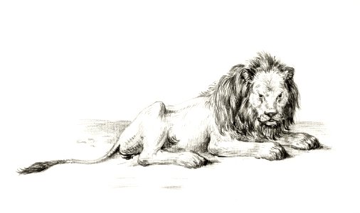 Lying lion (1822) by Jean Bernard (1775-1883).. Free illustration for personal and commercial use.