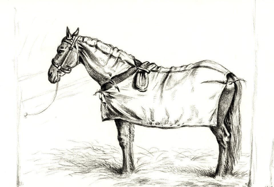 Horse standing in stable with blanket (1818) by Jean Bernard (1775-1883).