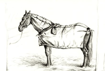 Horse standing in stable with blanket (1818) by Jean Bernard (1775-1883).. Free illustration for personal and commercial use.