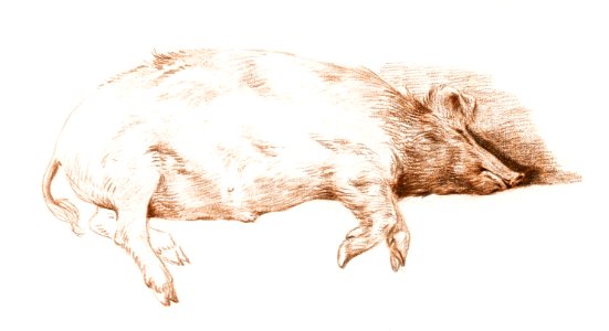 Lying pig by Jean Bernard (1775-1883).. Free illustration for personal and commercial use.