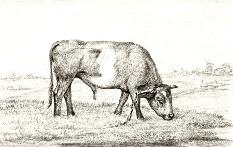 Grazing bull in a pasture by Jean Bernard (1775-1883).. Free illustration for personal and commercial use.