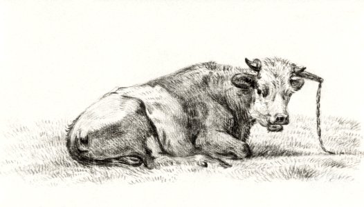 Lying cow (1825) by Jean Bernard (1775-1883).. Free illustration for personal and commercial use.