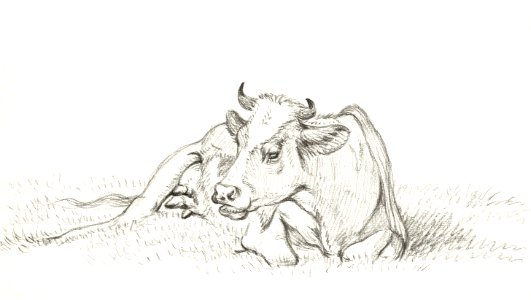Lying cow (1815) by Jean Bernard (1775-1883).. Free illustration for personal and commercial use.