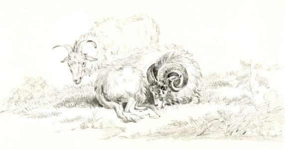 Lying goat and a standing goat by Jean Bernard (1775-1883).. Free illustration for personal and commercial use.