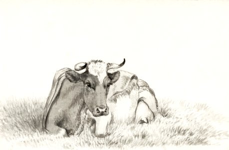 Lying cow (1816) by Jean Bernard (1775-1883).. Free illustration for personal and commercial use.