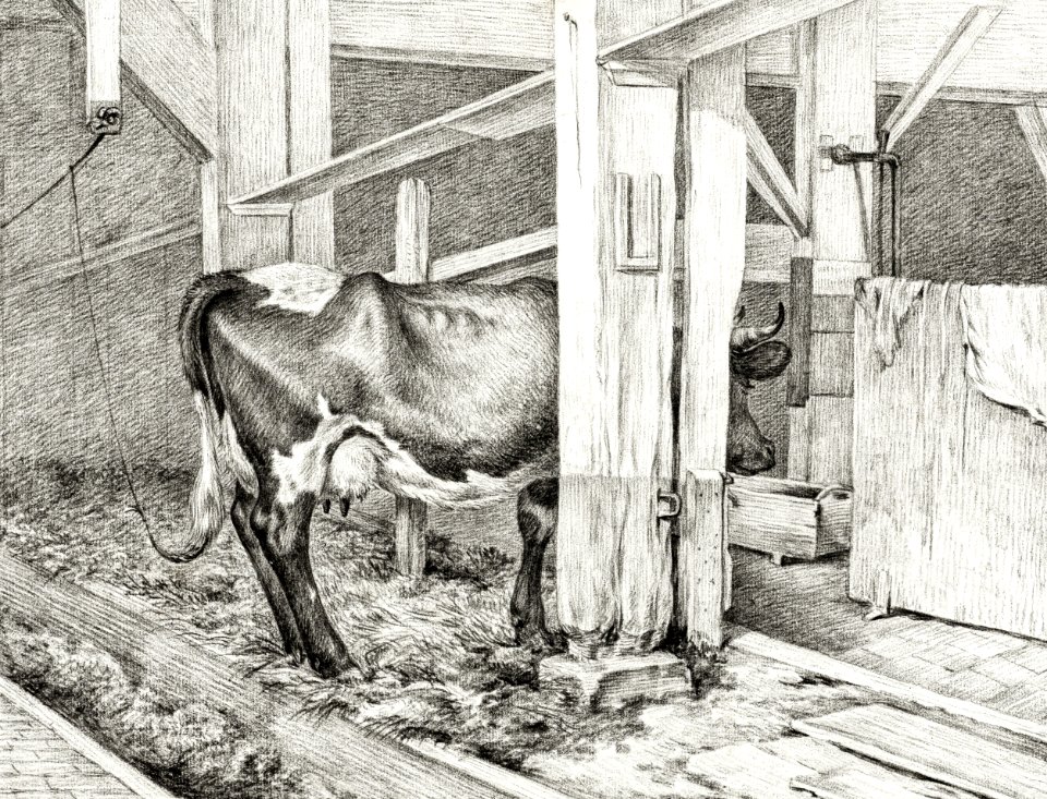 Standing cow (1812) by Jean Bernard (1775-1883).. Free illustration for personal and commercial use.