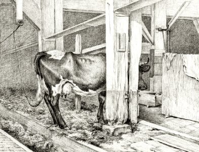 Standing cow (1812) by Jean Bernard (1775-1883).