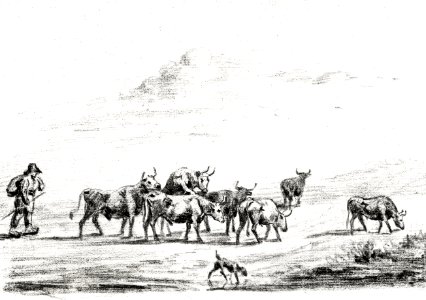 Cow driver with a group of cattle by Jean Bernard (1775-1883).. Free illustration for personal and commercial use.