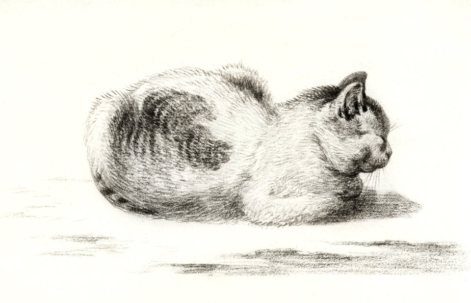 Reclining cat by Jean Bernard (1775-1883).