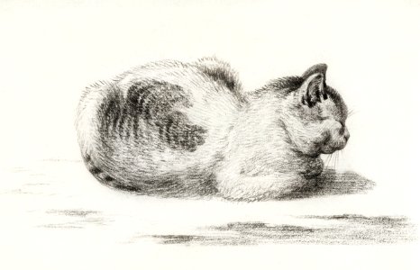 Reclining cat by Jean Bernard (1775-1883).. Free illustration for personal and commercial use.
