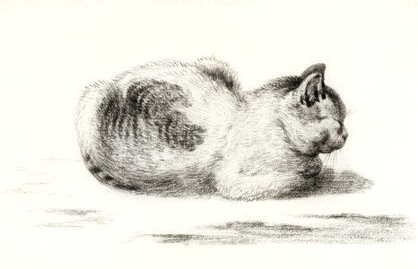 Reclining cat by Jean Bernard (1775-1883).
