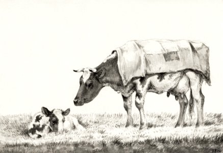 Standing cow with lying calf (1816) by Jean Bernard (1775-1883).. Free illustration for personal and commercial use.