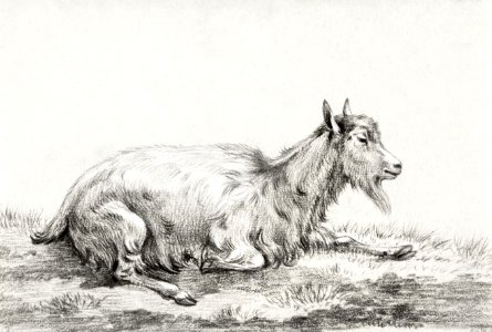 Lying goat (1813) by Jean Bernard (1775-1883).. Free illustration for personal and commercial use.