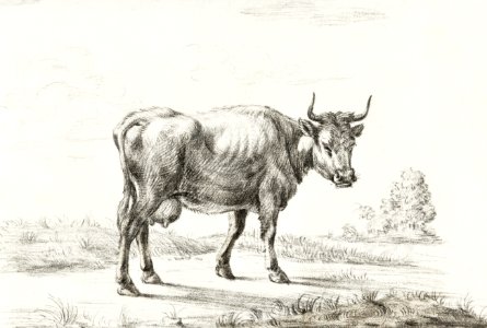 Cow by Jean Bernard (1775-1883).. Free illustration for personal and commercial use.