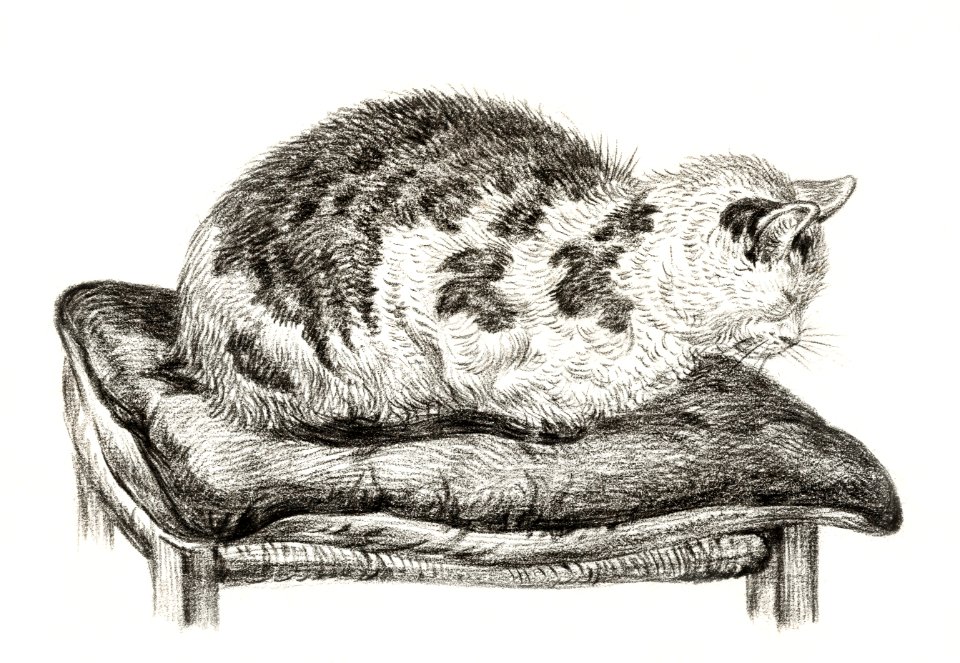 Lying cat on a pillow (1828) by Jean Bernard (1775-1883).