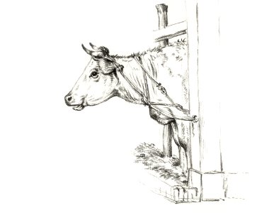 Head of a cow, to the left (1817) by Jean Bernard (1775-1883).. Free illustration for personal and commercial use.