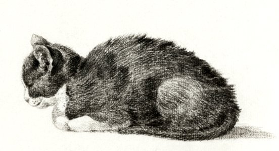 Lying cat (1800) by Jean Bernard (1775-1883).. Free illustration for personal and commercial use.