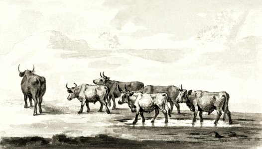 Group of six bulls by Jean Bernard (1775-1883).. Free illustration for personal and commercial use.