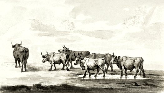 Group of six bulls by Jean Bernard (1775-1883).