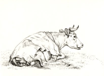 Lying cow, to the right (1819) by Jean Bernard (1775-1883).. Free illustration for personal and commercial use.