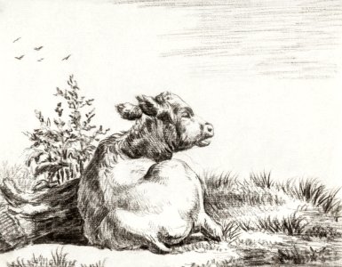 Lying cow by Jean Bernard (1775-1883).. Free illustration for personal and commercial use.